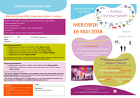 Flyer JMST 2018